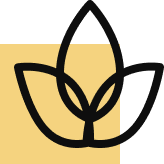 Snorkeling at Hikkaduwa Beach